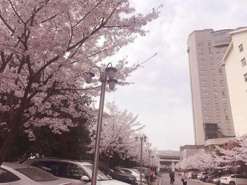 Xiongchu International Hotel Vuhan Kültér fotó